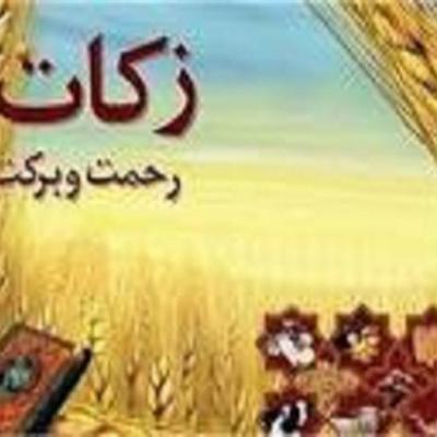 اصلاح جامعه اقتصادی ما با احیای زکات آغاز می شود