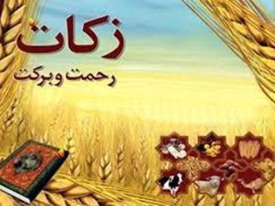 مهاباد، بوکان و سلماس رتبه های برتر پرداخت زکات در آذربایجان غربی