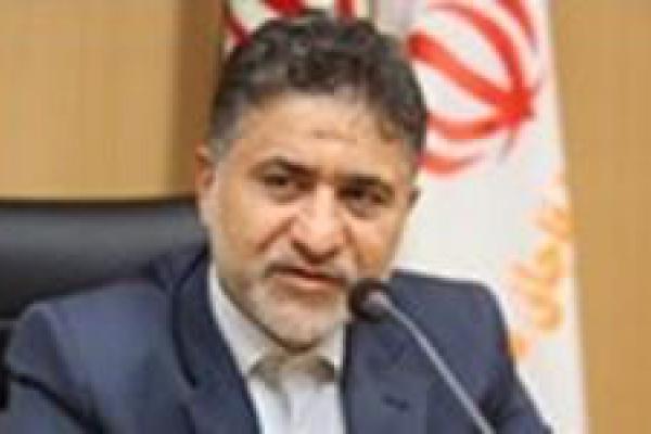 مدیرکل روابط عمومی ستاد مبارزه با قاچاق کالا و ارز منصوب شد