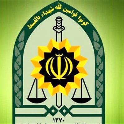 واکنش سخنگوی ناجا به ماجرای پارک پلیس: نیروی انتظامی تحت هیچ شرایطی تسلیم جوسازی عناصر معاند نمی شود