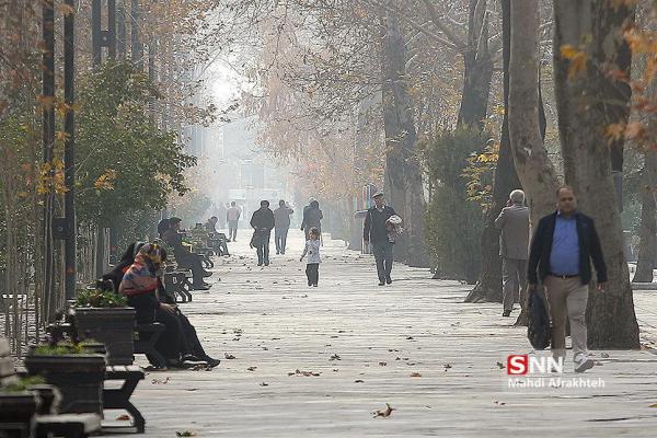 آلودگی هوا سلامت مردان را نشانه رفته است