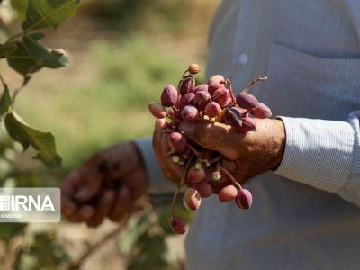 مهمترین اخبار کرمان در هفته ای که گذشت