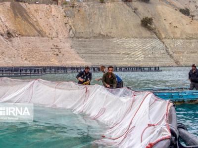 تحقق جهش تولید و صادرات محصولات شیلاتی در مازندران