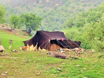 مشق «اقتصاد مقاومتی» زیر سیاه چادرها اما خارج از دید ناظران/ سبک زندگی عشایری کرونا را دور نگه داشت