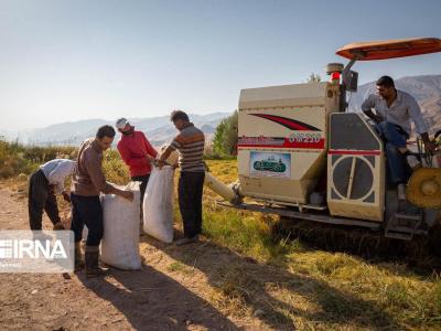 رشد ۲۰۰ درصدی فعالیت تعاونی‌های روستایی در اصفهان