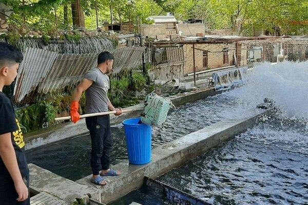 موانع پیش‌رو پرورش ماهی در خراسان شمالی/ نهاده‌ها گران هستند