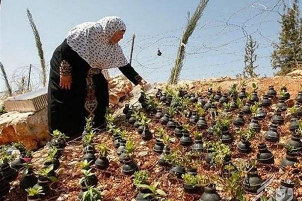 «معجزه آبخیزداری»| آبخیزداری در تمدن اسلامی از زبان ناصر خسرو/ "در قدس درختان بی آب(دیم) نهایت ندارد"