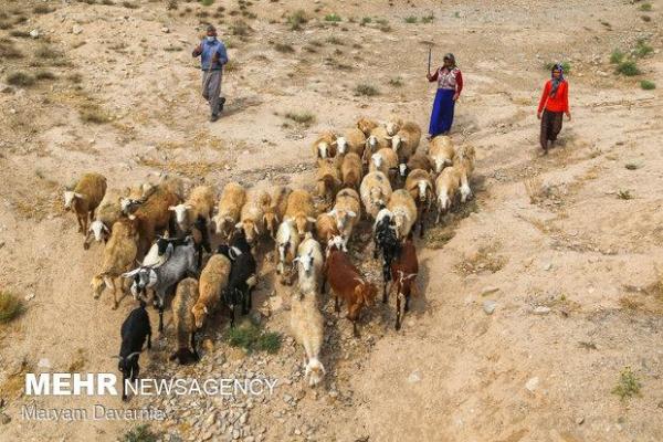 بازارمانعی برای تولیدات عشایروروستاهای سمنان/دولت موانع راکم نکرد