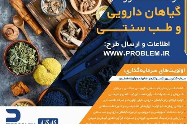 شناخت گیاهان دارویی؛ مهم‌ترین اصل برای بهبود سلامت جامعه