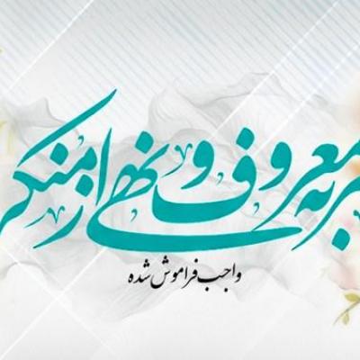 حجت الاسلام صانعی: شورای اجتماعی محلات در محلات استان یزد تشکیل می‌شود