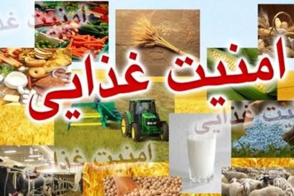 طرح تقویت امنیت غذایی کشور در انتظار ابلاغ شورای نگهبان/گرانی محصولات کشاورزی پایان می‌یابد؟