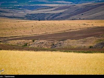 طرح جهش تولید در دیمزار‌‌های استان زنجان اجرا می‌شود