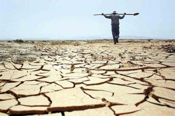 استاندار گلستان: کشاورزان خسارت دیده حمایت می شوند