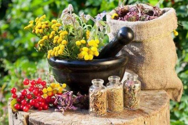 ۱۰ اقدام ملی برای ارتقای فرهنگ تولید و مصرف گیاهان دارویی