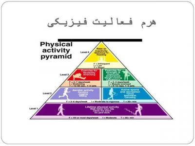 هرم فعالیت بدنی و اهمیت شناخت آن