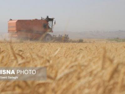 آغاز عملیات بیمه گری محصولات زراعی ویژه طرح جهش تولید در دیمزارهای آذربایجان شرقی